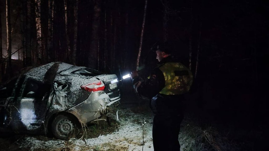 Новый День: Во время снегопада на Челябинском тракте Лада врезалась в дерево. Погиб пассажир (ФОТО)