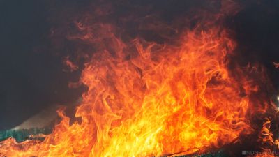 Два ребенка погибли при пожаре в воронежском селе