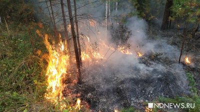 В Свердловской области остался всего один лесной пожар